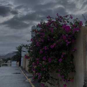 زهرا زارع منصوری